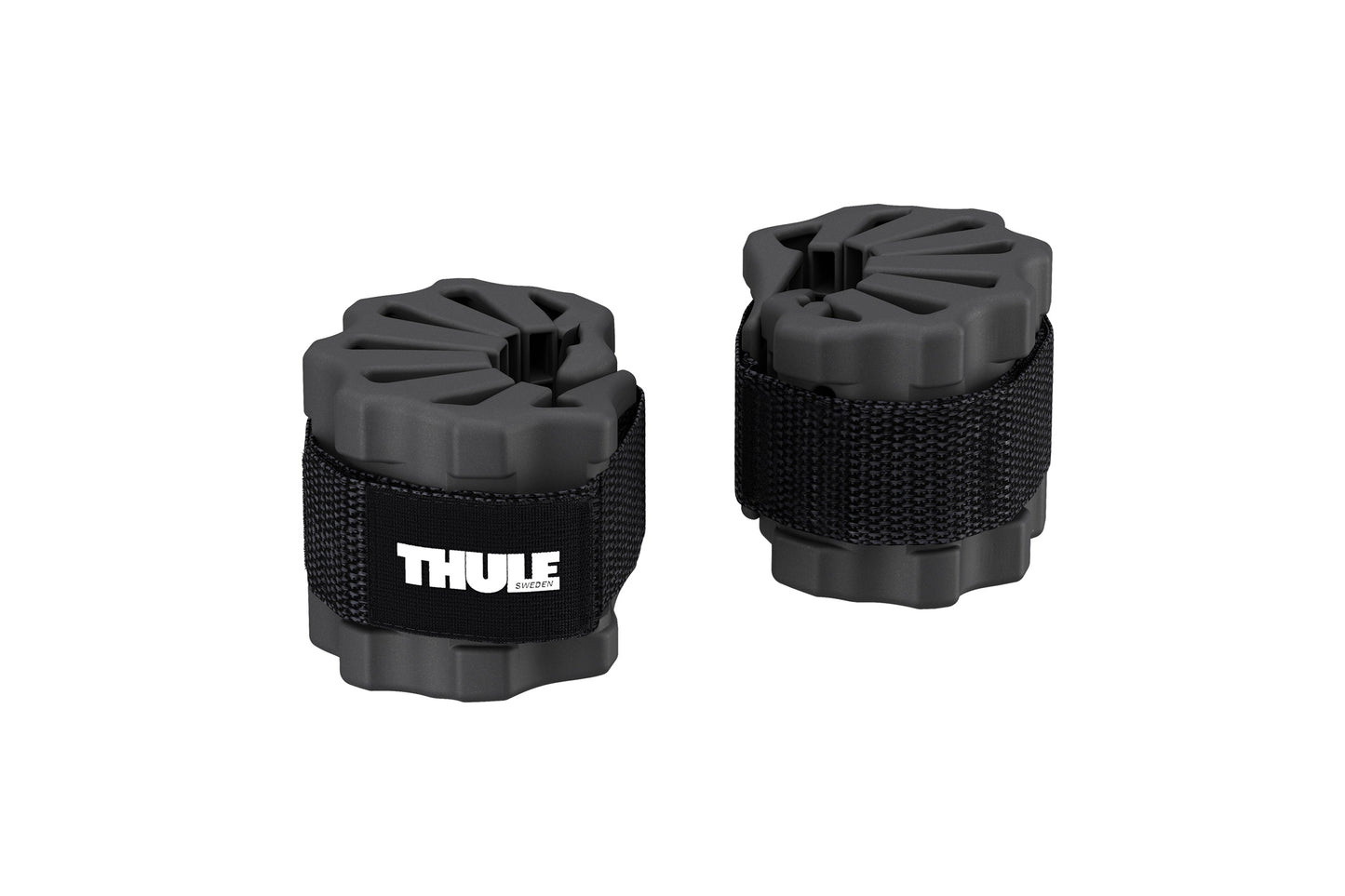 Protector de bicicleta Thule - USADO