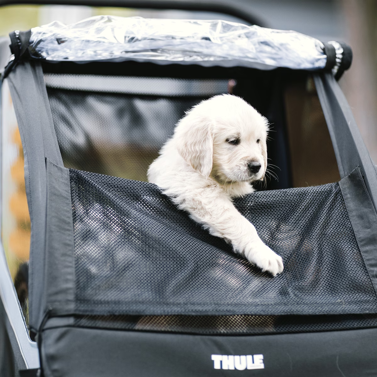 Thule Courier Dog Trailer Kit - Return