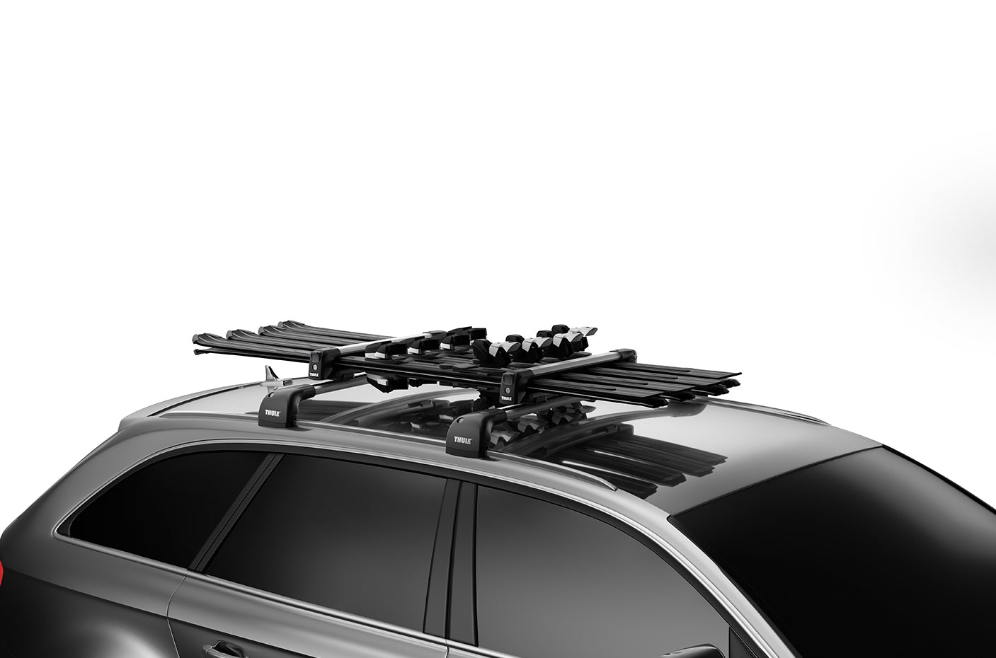 Thule SnowPack L - Silver