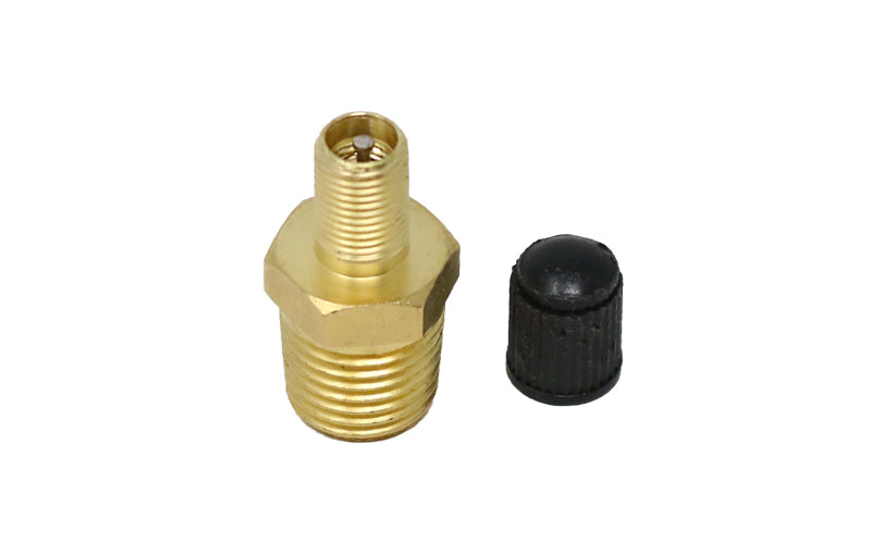 <p><span>1/4&Prime; NPT threaded threaded Shrader Valve.&nbsp;<span>Fits RoadShower SM, MD, LG and All 2, 3 and 4 Series Showers.​</span></span></p>